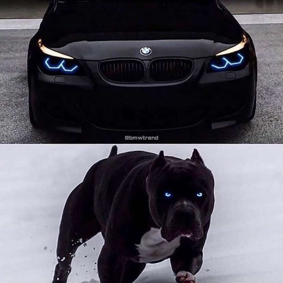 Meet your Posher, Jason - Picture 1 of 1